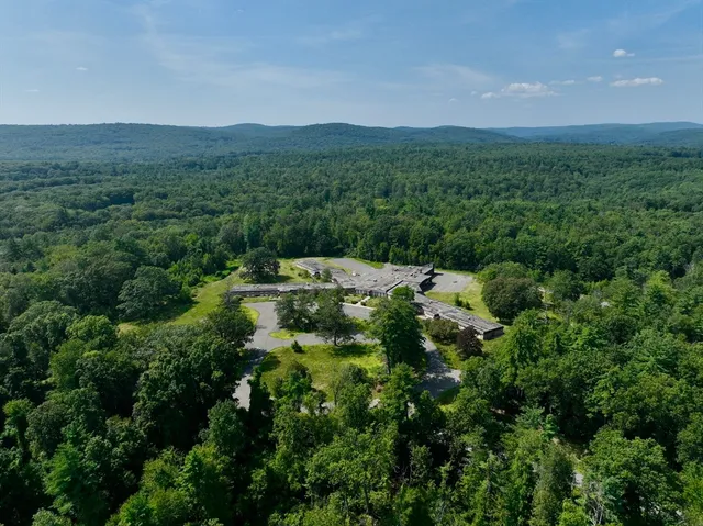 a view of a lush green forest with lots of trees