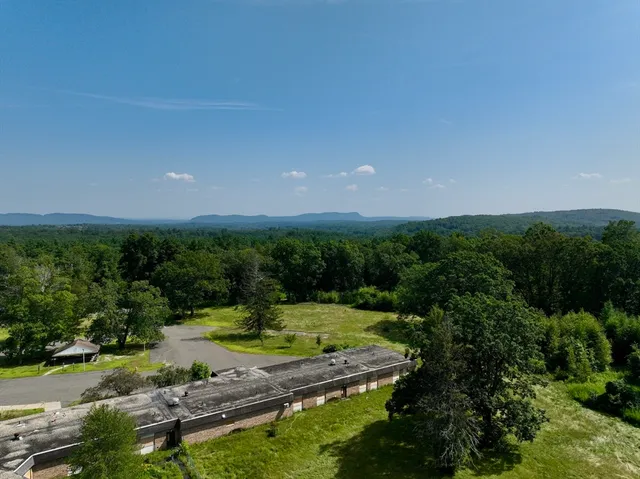 a view of a forest with a street