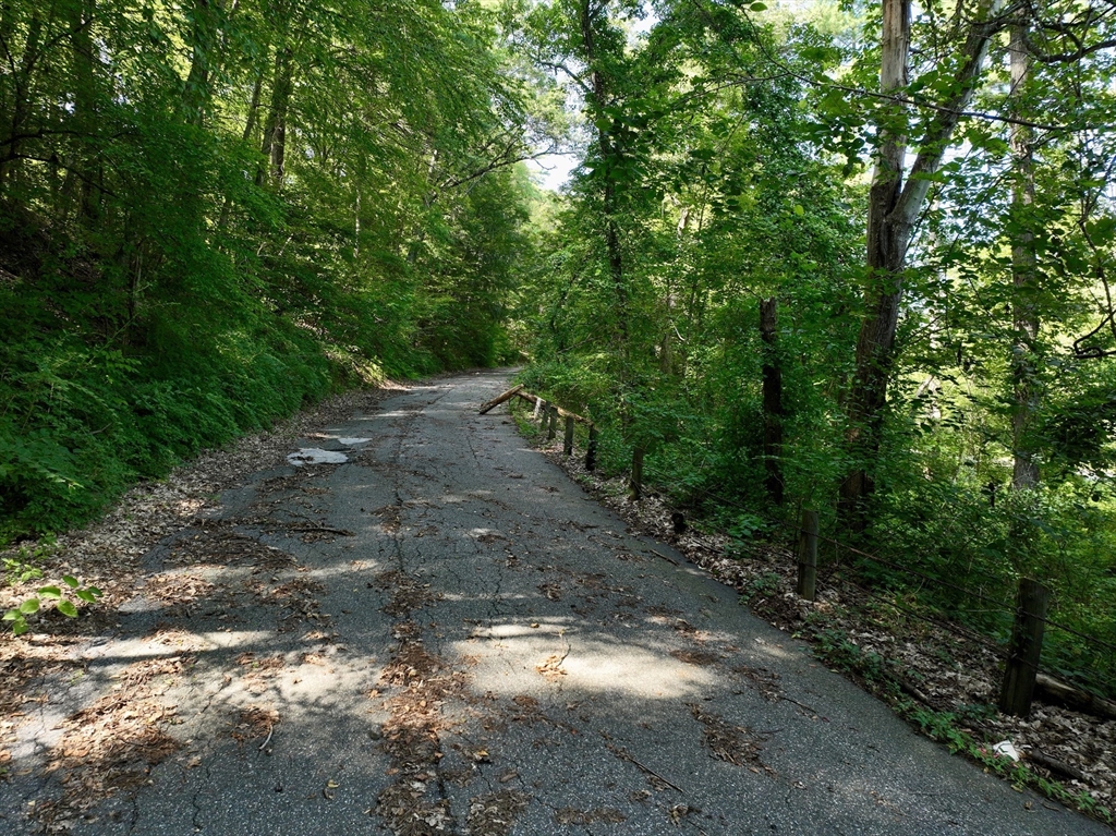 222 River Road Northampton, MA 01053 - Photo 13 of 14 a pathway of a yard
