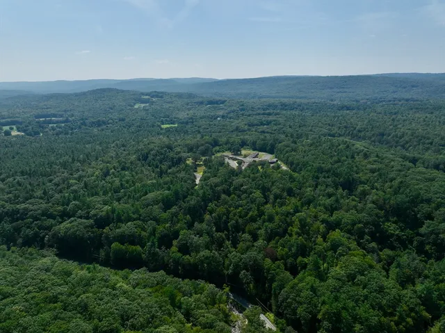 a view of a city with lush green forest