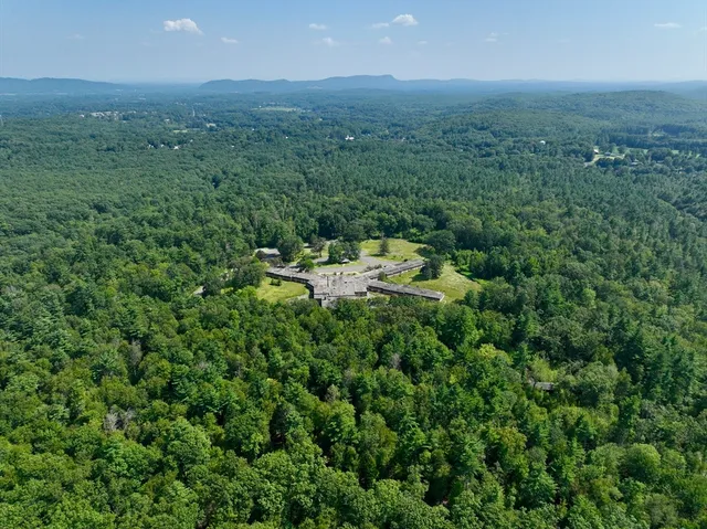 a view of a lush green forest with trees and some houses