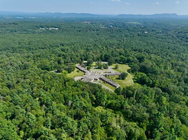 a view of a lush green field with lots of bushes