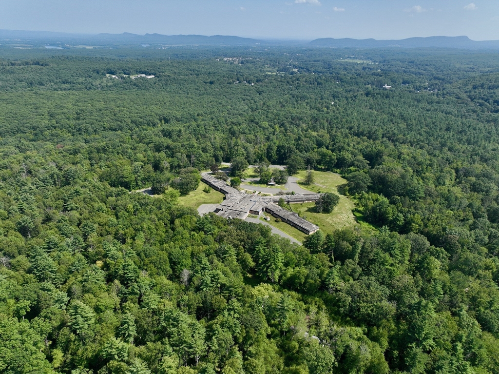 222 River Road Northampton, MA 01053 - Photo 7 of 14 a view of a lush green forest with trees and some houses