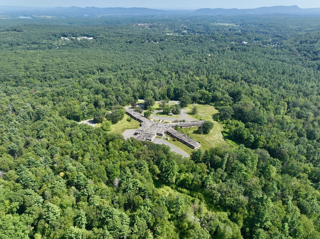 222 River Road Northampton, MA 01053 - Photo 8 of 14 a view of a lush green field with lots of bushes