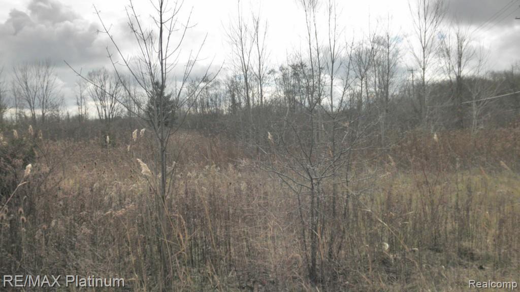 Vac Denton Road Canton, MI 48188 - Photo 3 of 4