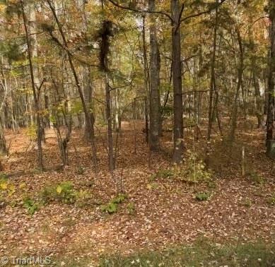 0 Mt Lebanon Road Troy, NC 27371 - Photo 1 of 1 Gallery Image 1