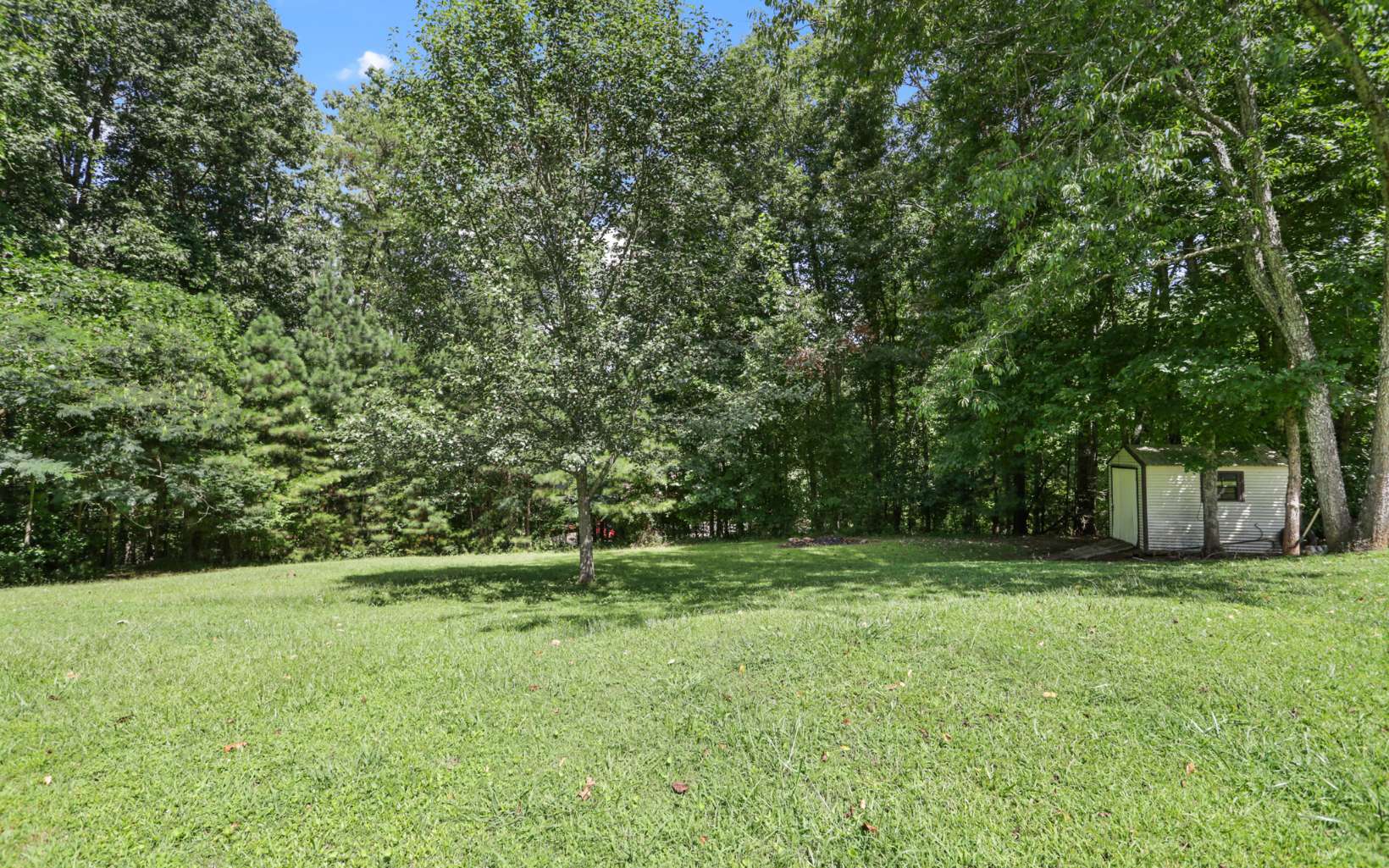 611 Wash Wilson Road Blue Ridge, GA 30513 - Photo 7 of 26 a view of outdoor space with deck and yard