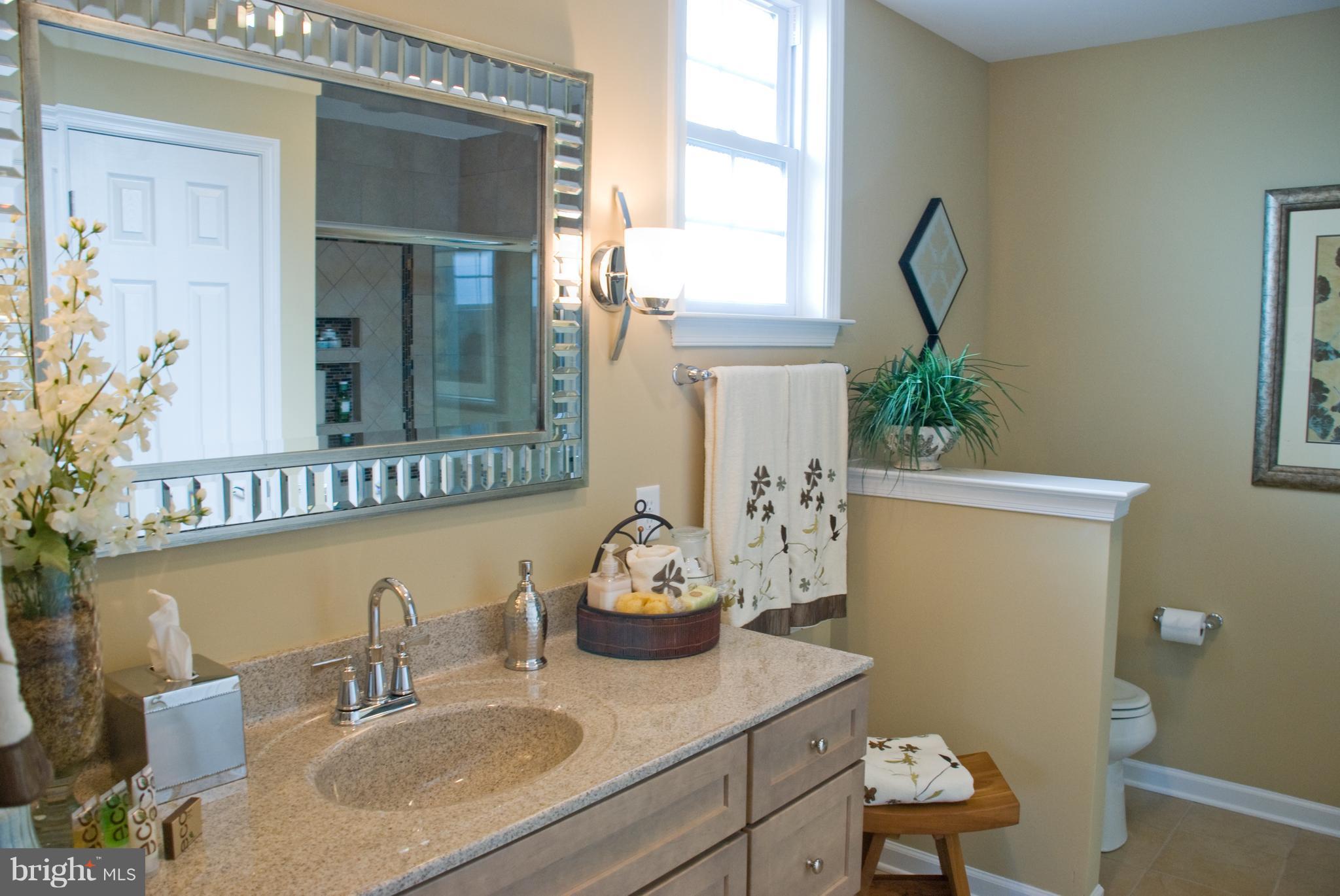 448 Resolution Drive, Unit 33 Lititz, PA 17543 - Photo 5 of 5 Bath (Master)