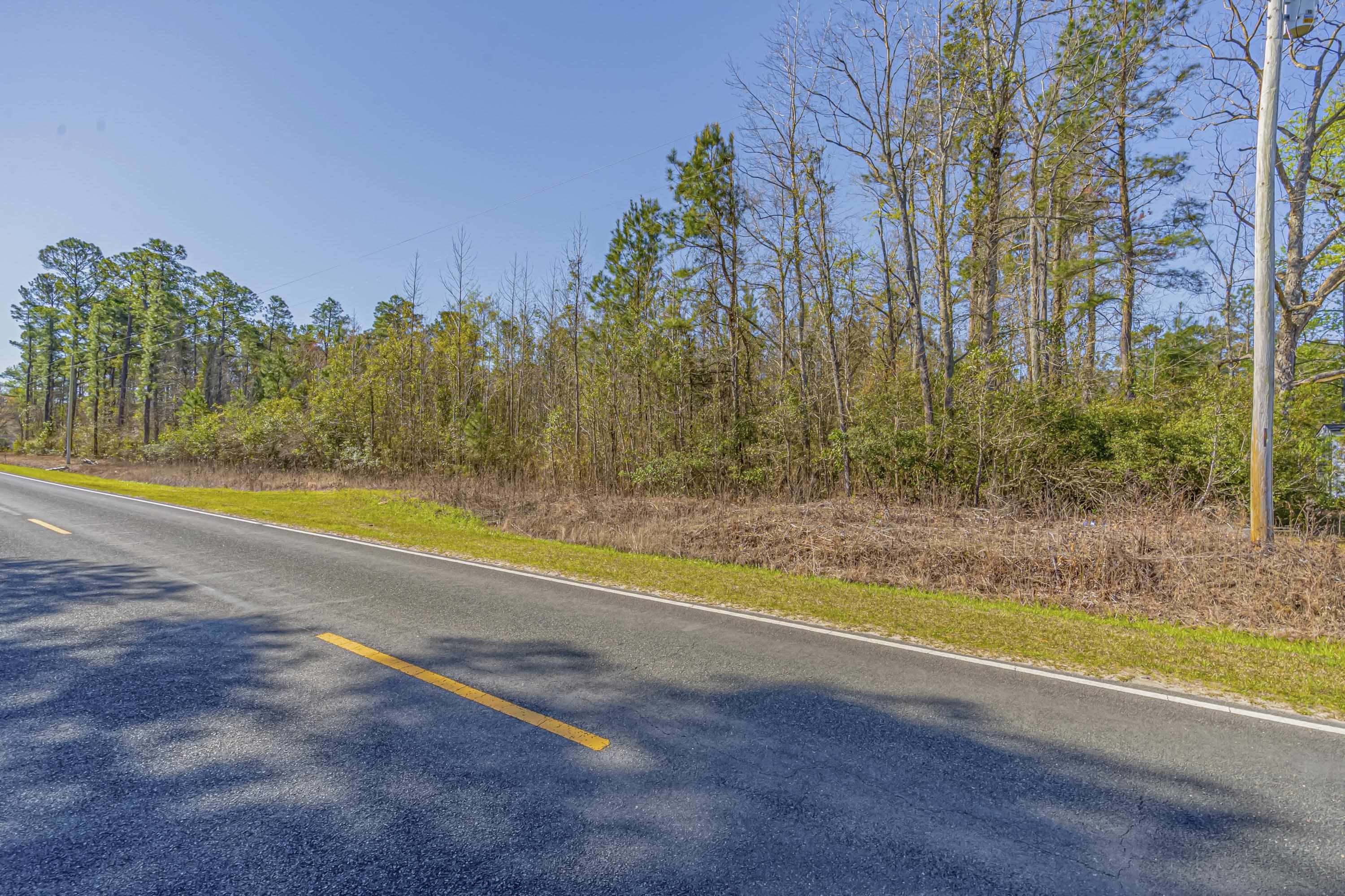 Tbd Tbd Wright Road Tabor City, NC 28463 - Photo 14 of 18