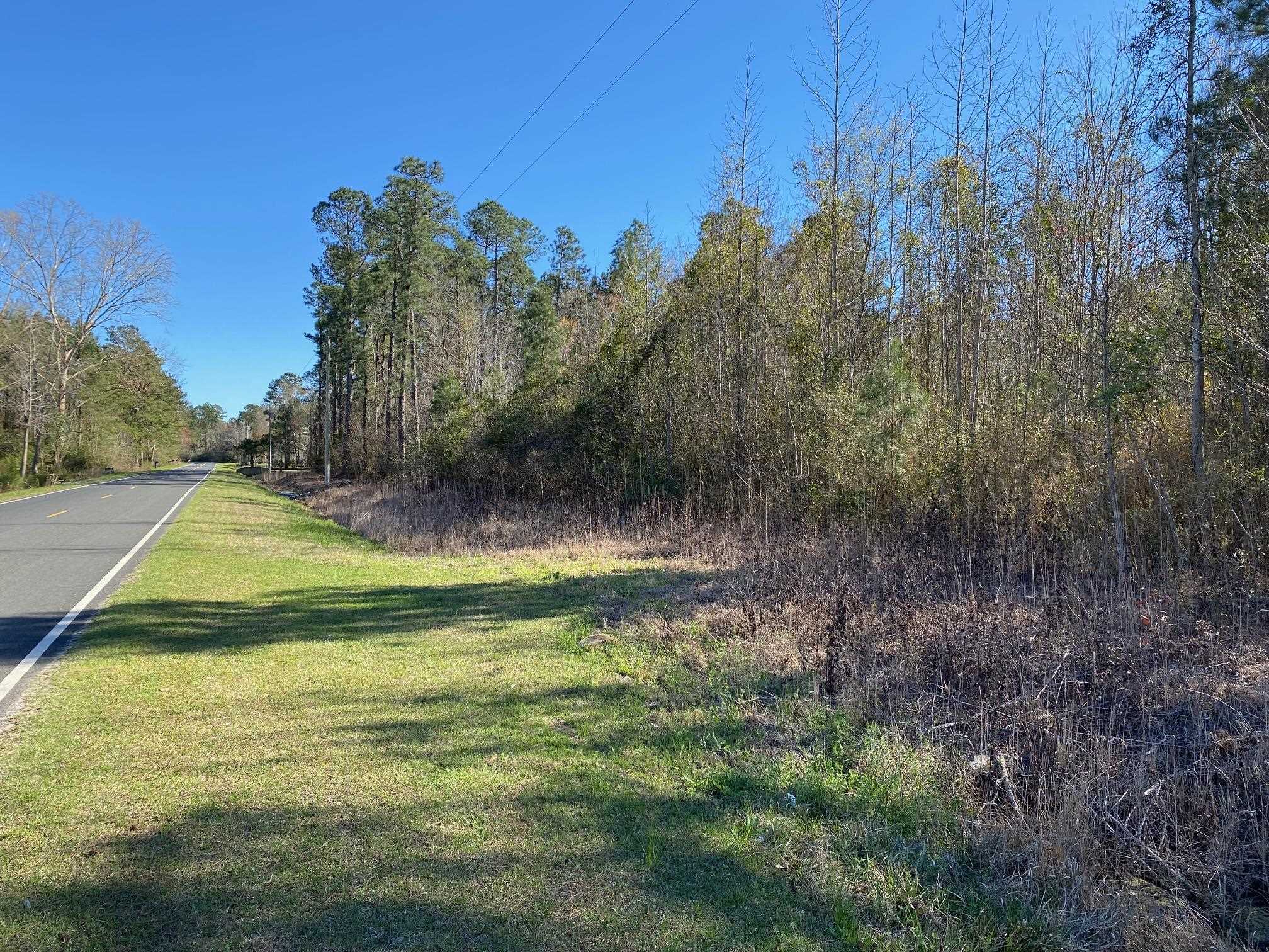 Tbd Tbd Wright Road Tabor City, NC 28463 - Photo 15 of 18