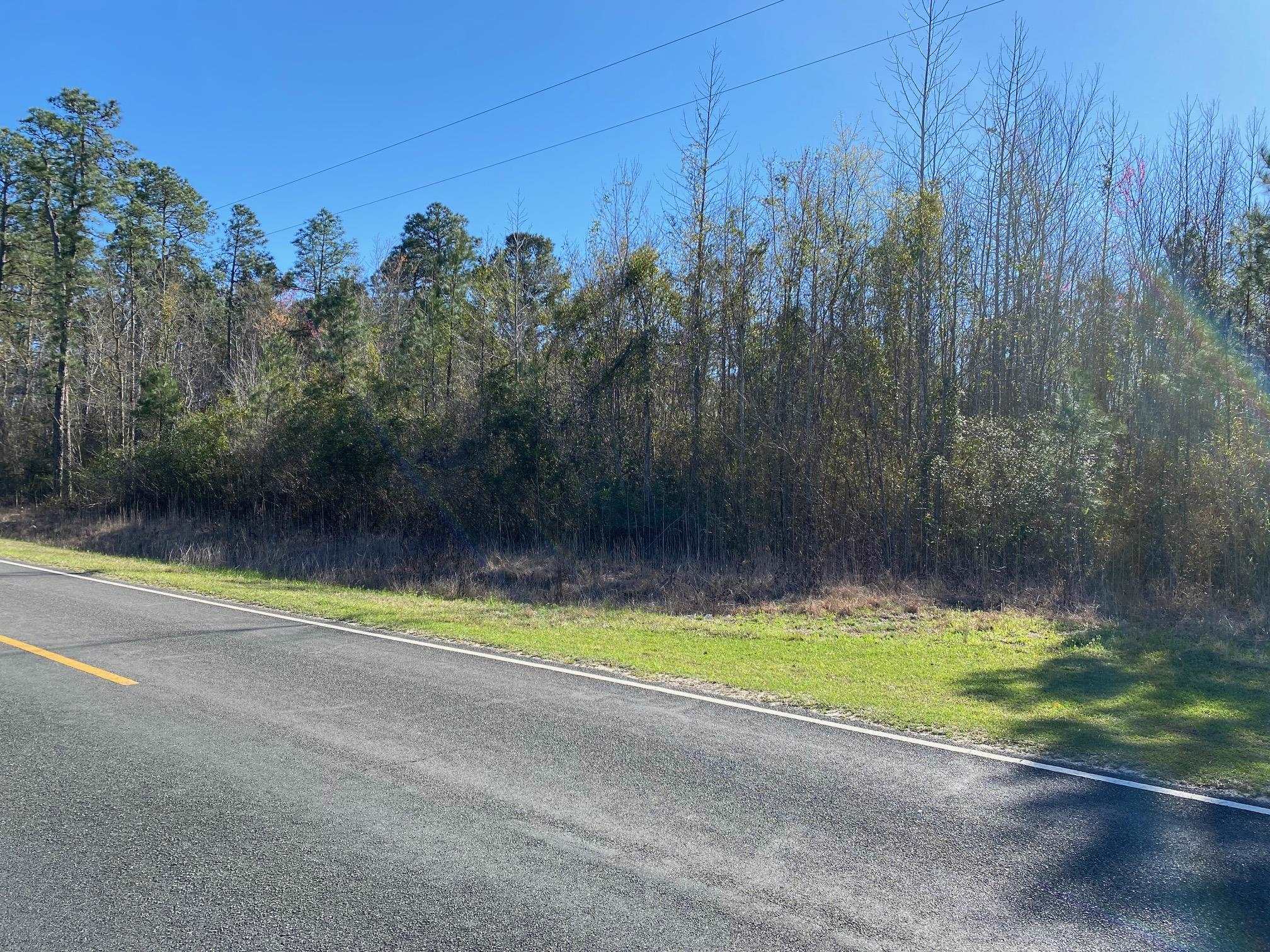 Tbd Tbd Wright Road Tabor City, NC 28463 - Photo 16 of 18