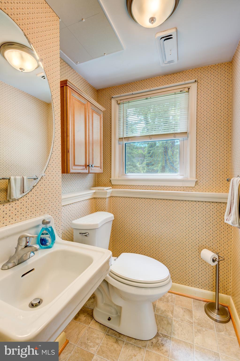 205 Meadowvale Road Lutherville-Timonium, MD 21093 - Photo 13 of 30 Lower level bath.