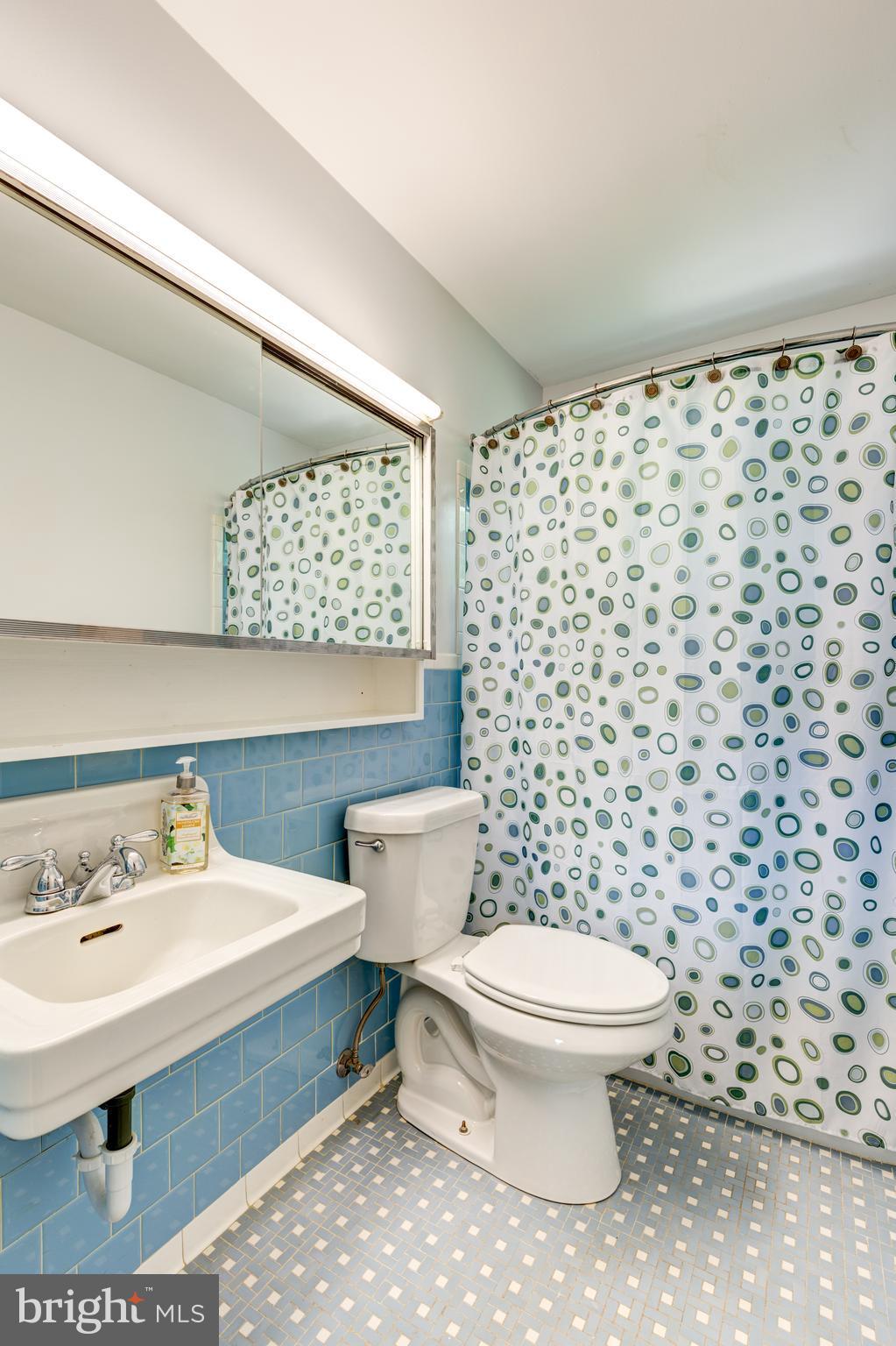 205 Meadowvale Road Lutherville-Timonium, MD 21093 - Photo 16 of 30 Retro finishes are so cool.