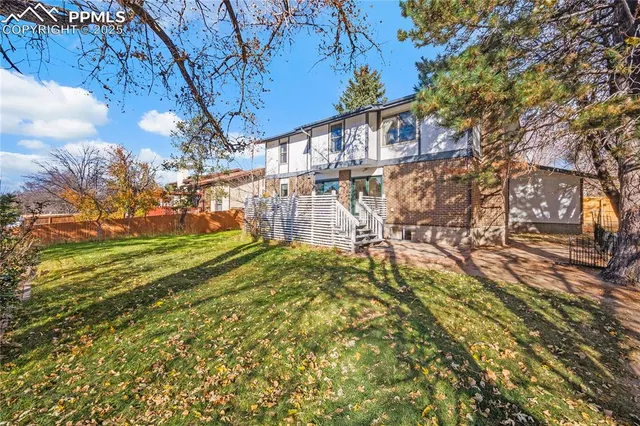 a view of a yard with plants and large trees