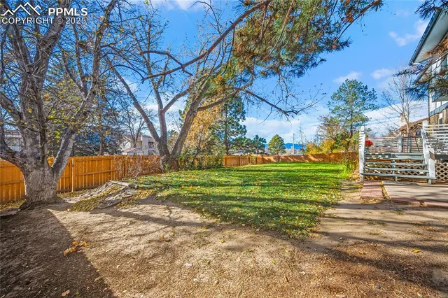 a view of a park with large trees