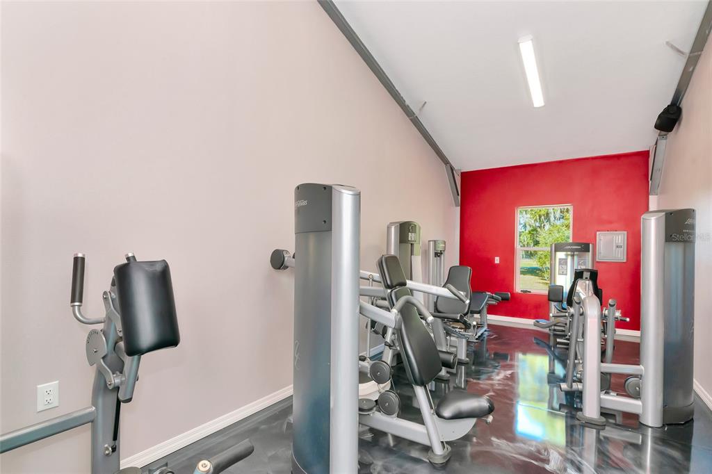 28154 Gopher Hill Road Myakka City, FL 34251 - Photo 56 of 99