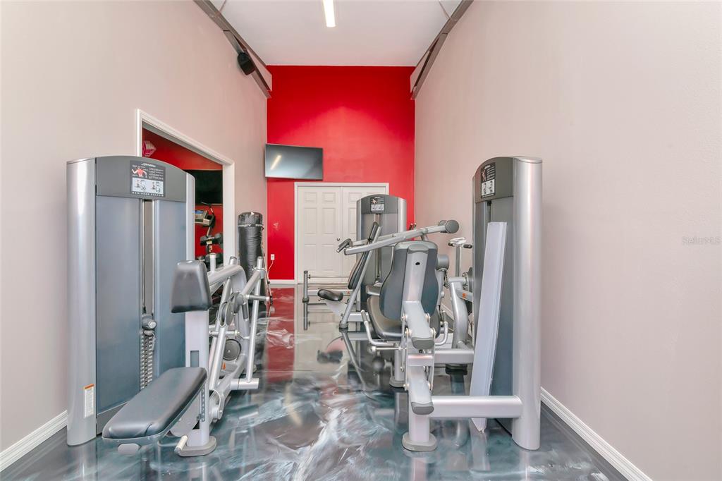 28154 Gopher Hill Road Myakka City, FL 34251 - Photo 64 of 100 a view of a room with gym equipment