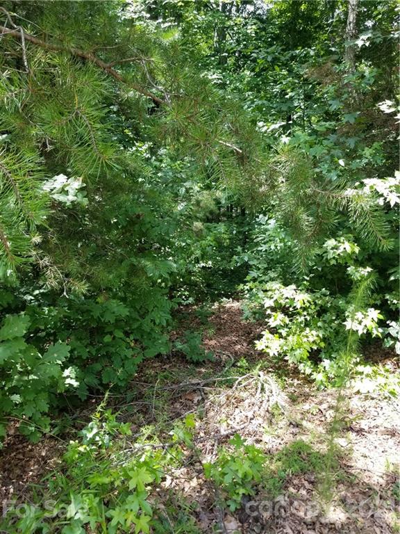 Lot#19 Maple Spring Court, Unit 19 Denver, NC 28037 - Photo 3 of 4 Gallery Image 3