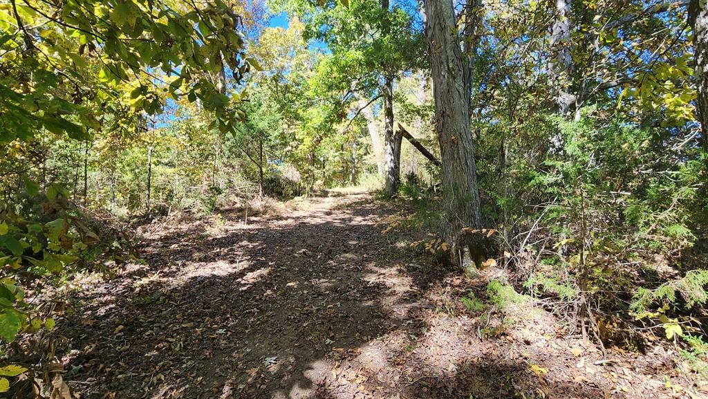 0 Reagan Branch Road Seymour, TN 37865 - Photo 28 of 31