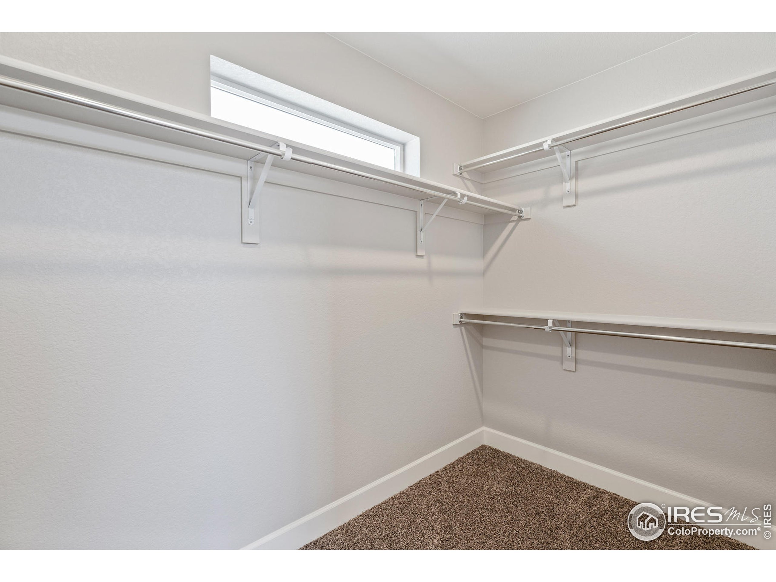 6107 Greybull Road Timnath, CO 80547 - Photo 26 of 40