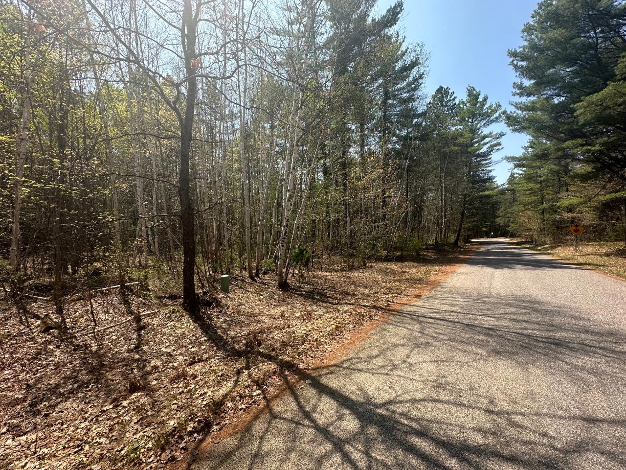 2-lots Florsheim Road Minocqua, WI 54548 - Photo 1 of 9 Gallery Image 1