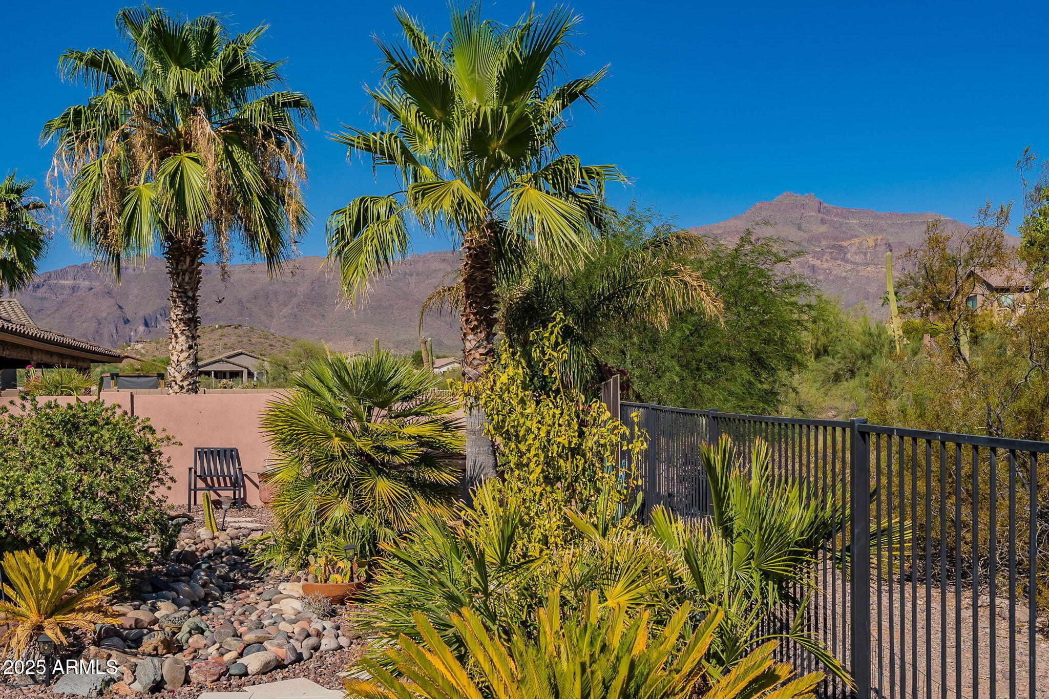 4333 South Pony Rider Trail Gold Canyon, AZ 85118 - Photo 49 of 54 a view of a backyard