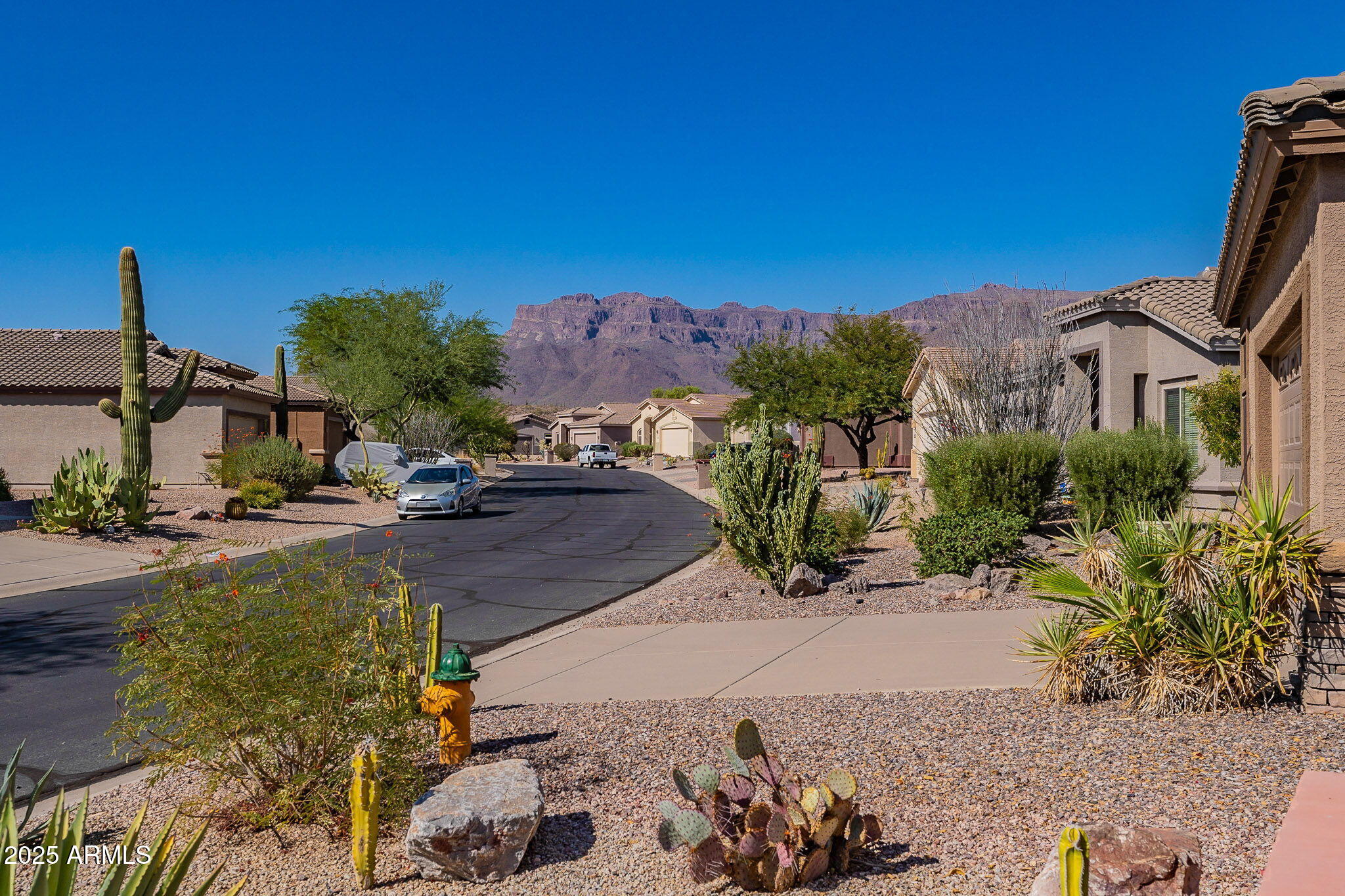4333 South Pony Rider Trail Gold Canyon, AZ 85118 - Photo 8 of 54 a view of a street with a building and couple of cars parked in front of it