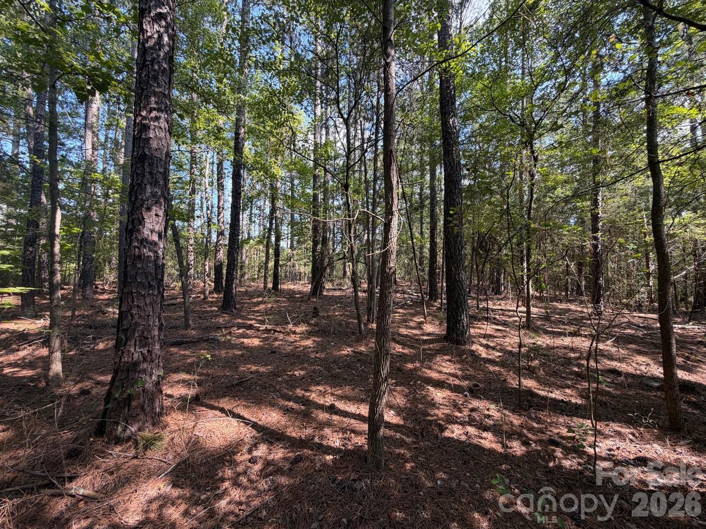 2806 Quinn Road Chester, SC 29706 - Photo 25 of 29 Gallery Image 25