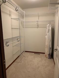 1595 Fox Hunt Way Victoria, MN 55386 - Photo 18 of 36