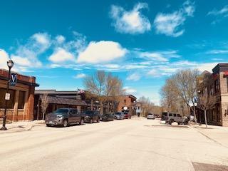 1595 Fox Hunt Way Victoria, MN 55386 - Photo 30 of 36