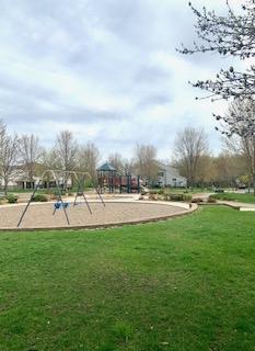 1595 Fox Hunt Way Victoria, MN 55386 - Photo 36 of 36