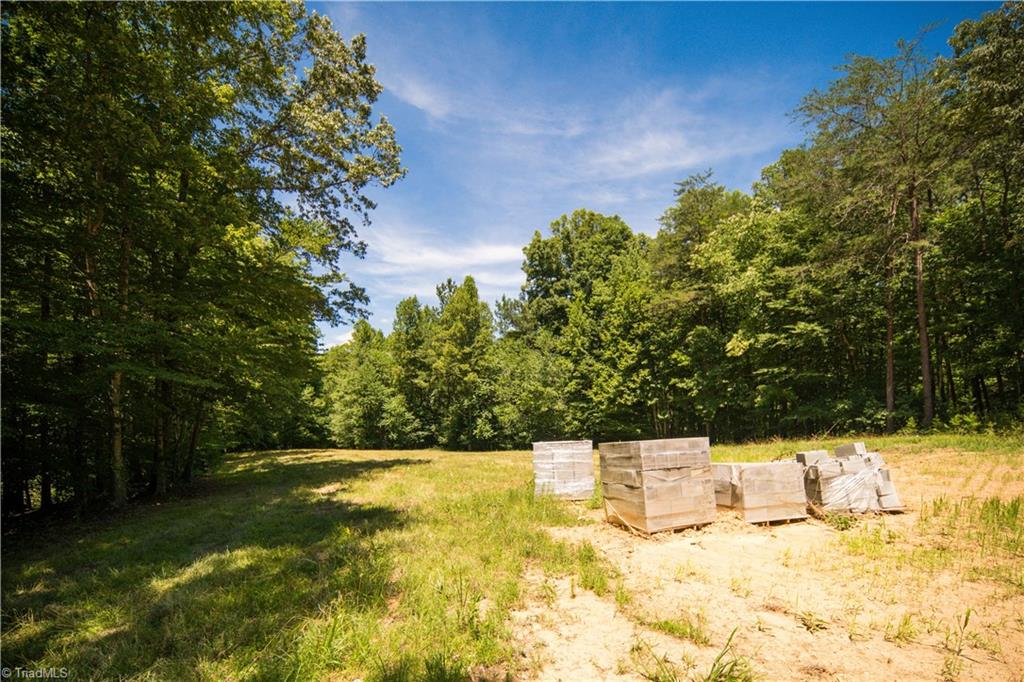 1230 Delta Acres Road Sandy Ridge, NC 27046 - Photo 14 of 46 building site