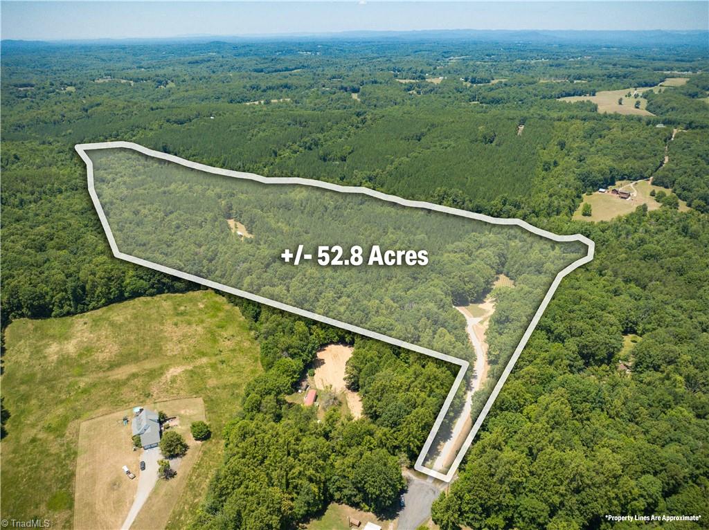 1230 Delta Acres Road Sandy Ridge, NC 27046 - Photo 2 of 46