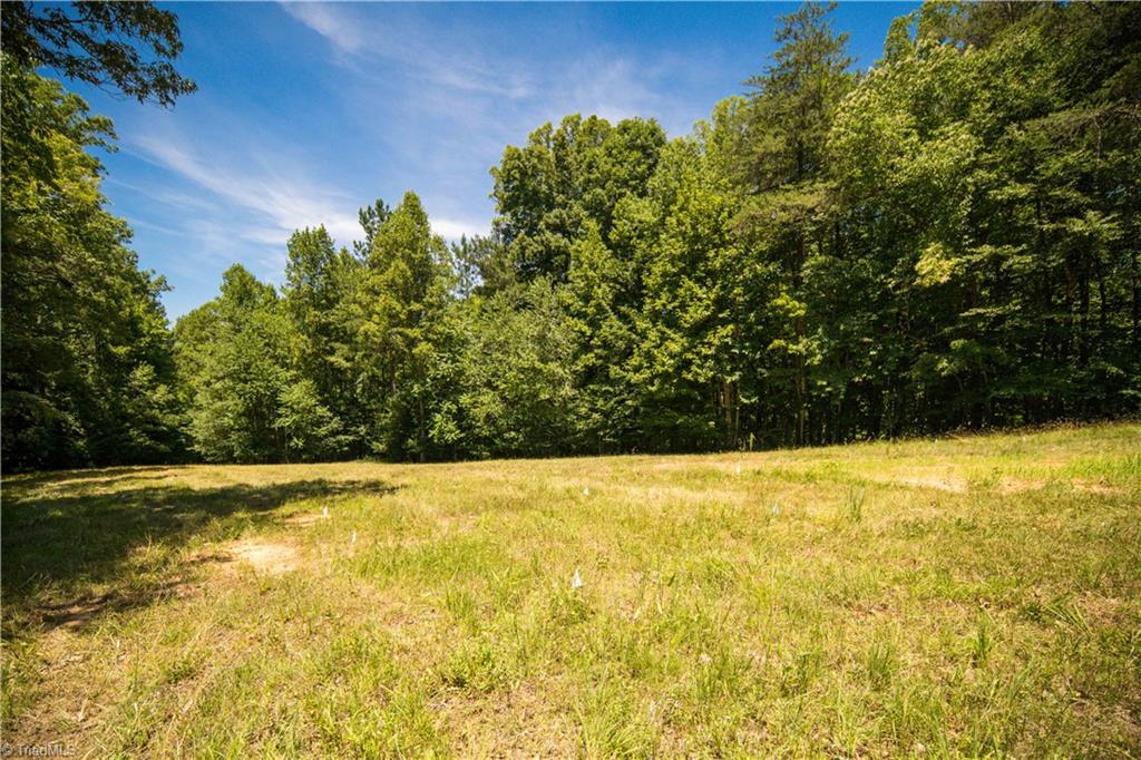1230 Delta Acres Road Sandy Ridge, NC 27046 - Photo 25 of 46 field behind building site, well and septic.
