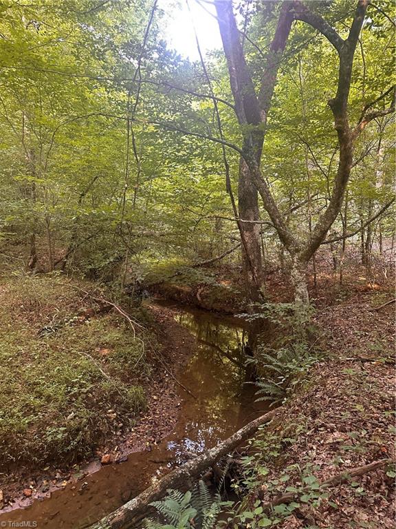 1230 Delta Acres Road Sandy Ridge, NC 27046 - Photo 26 of 46 smaller creek