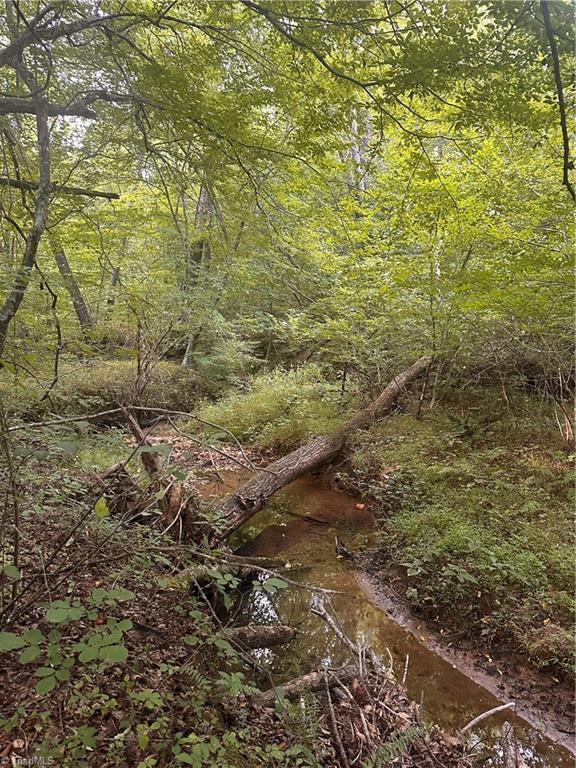 1230 Delta Acres Road Sandy Ridge, NC 27046 - Photo 27 of 46
