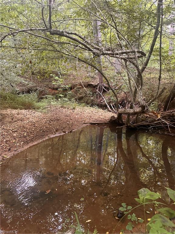 1230 Delta Acres Road Sandy Ridge, NC 27046 - Photo 32 of 46 larger creek at back of property