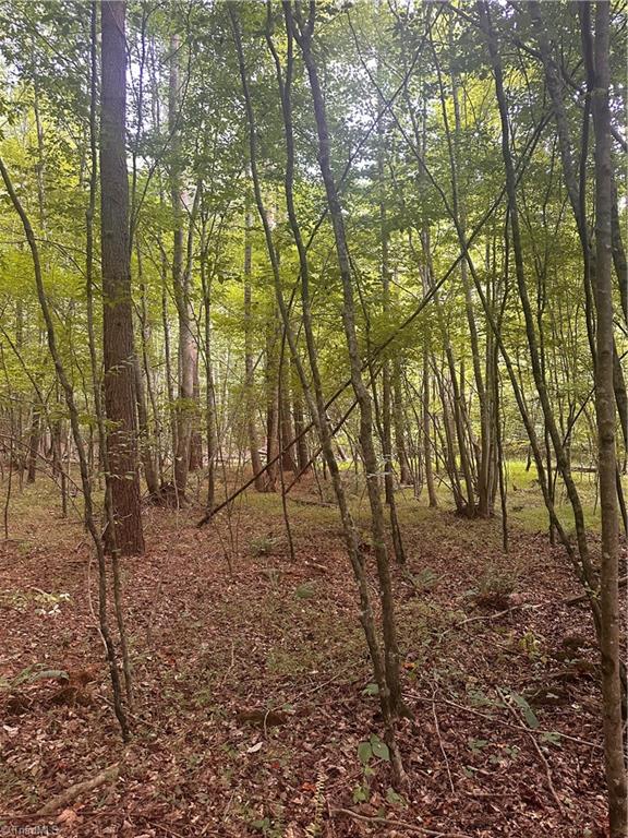 1230 Delta Acres Road Sandy Ridge, NC 27046 - Photo 34 of 46 bottom near the creek