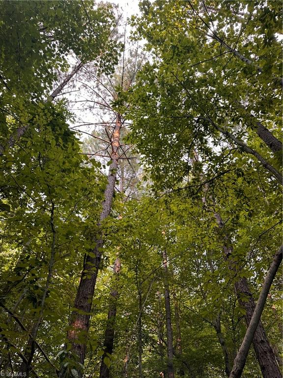 1230 Delta Acres Road Sandy Ridge, NC 27046 - Photo 35 of 46 beautiful nature