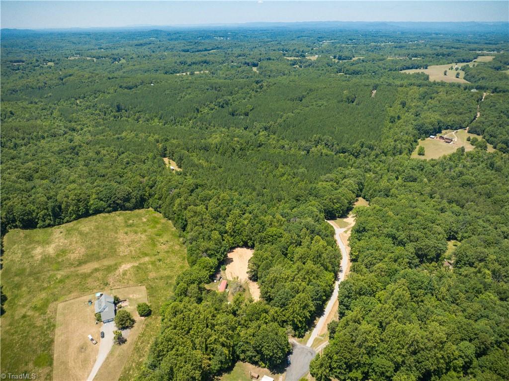 1230 Delta Acres Road Sandy Ridge, NC 27046 - Photo 39 of 46