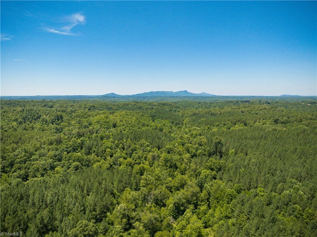 1230 Delta Acres Road Sandy Ridge, NC 27046 - Photo 43 of 46