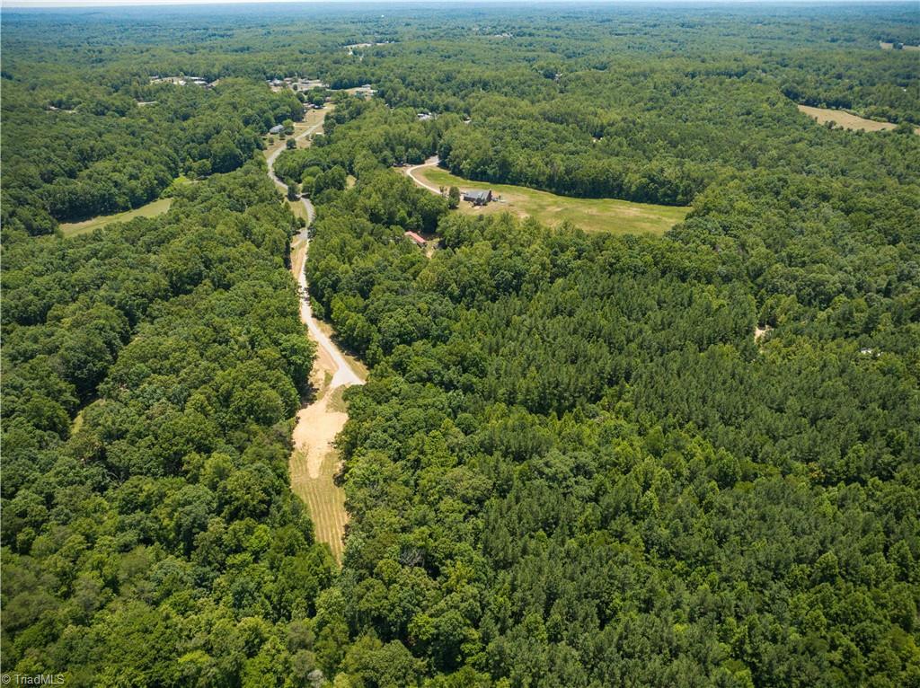 1230 Delta Acres Road Sandy Ridge, NC 27046 - Photo 44 of 46