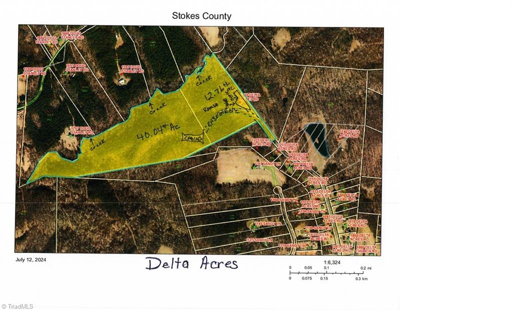 1230 Delta Acres Road Sandy Ridge, NC 27046 - Photo 46 of 46 GIS Map labeled