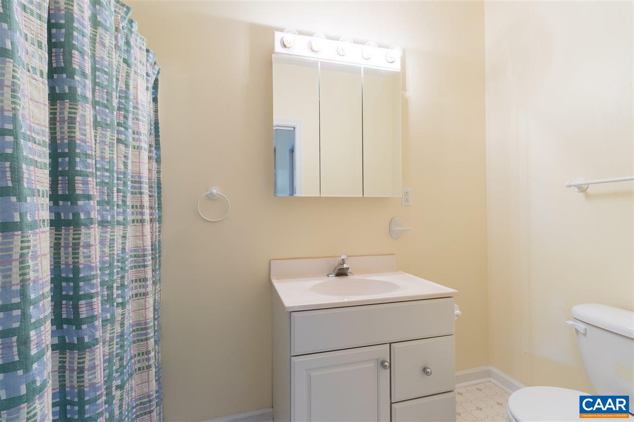 1655 Swift Run Road Ruckersville, VA 22968 - Photo 20 of 32 a bathroom with a sink a toilet and shower curtain