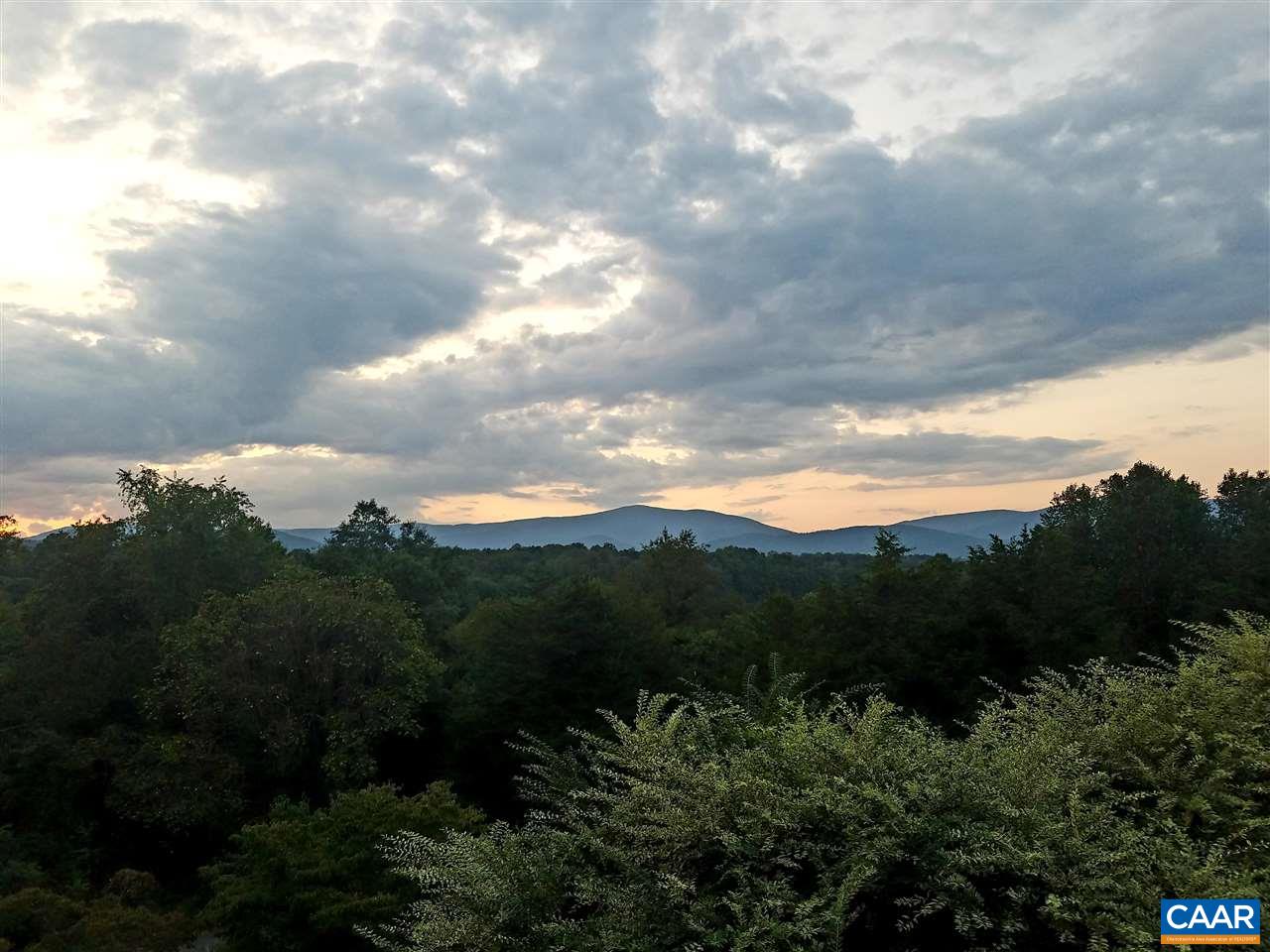 1655 Swift Run Road Ruckersville, VA 22968 - Photo 26 of 32 a view of a bunch of trees