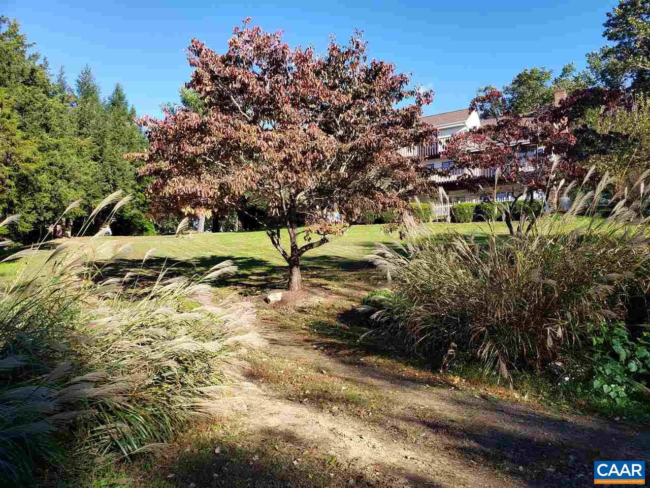 1655 Swift Run Road Ruckersville, VA 22968 - Photo 27 of 32 a view of a yard