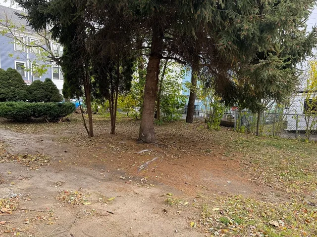a view of a yard with a tree