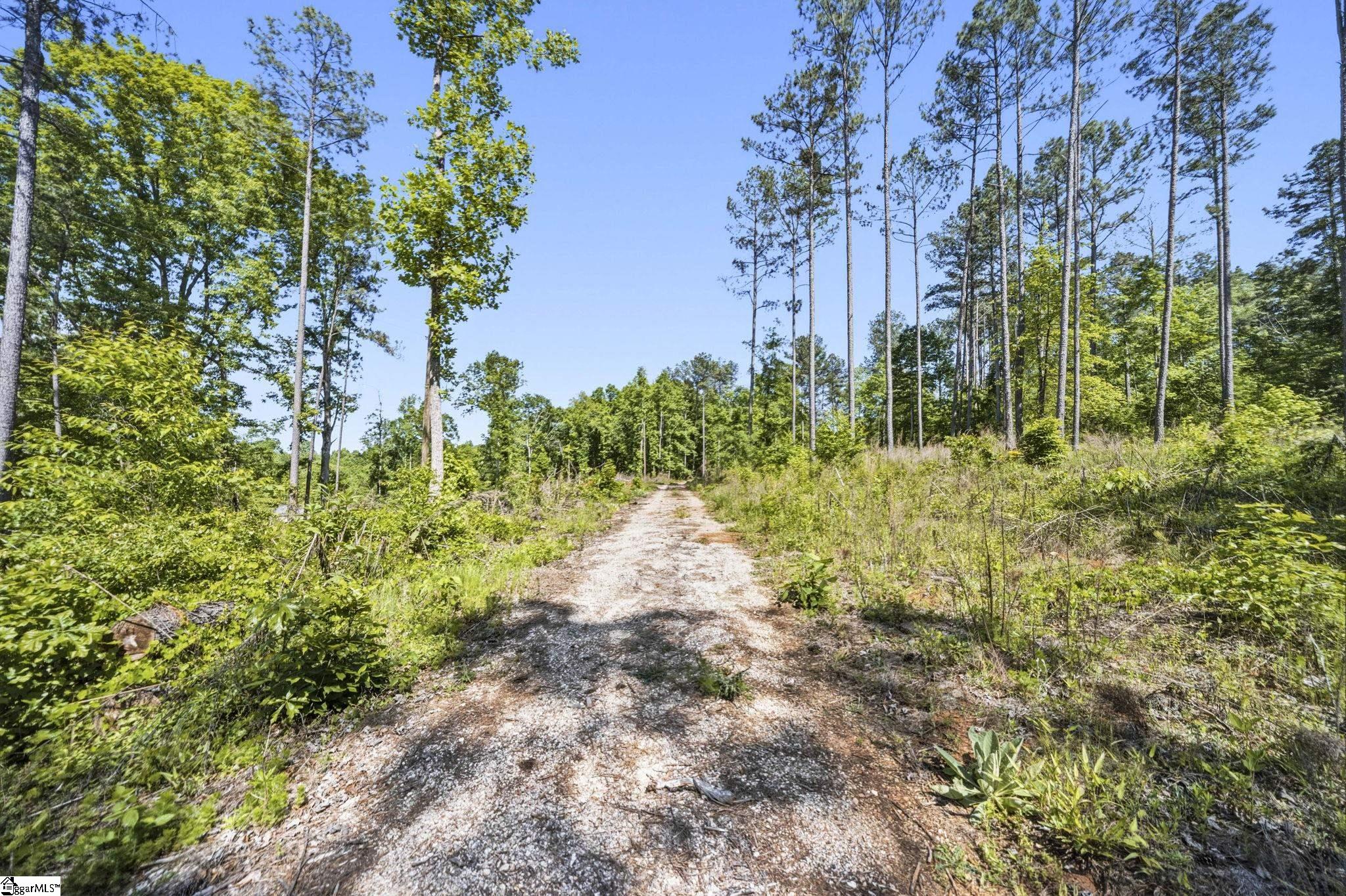 516 Franklin Finley Road Easley, SC 29640 - Photo 19 of 20