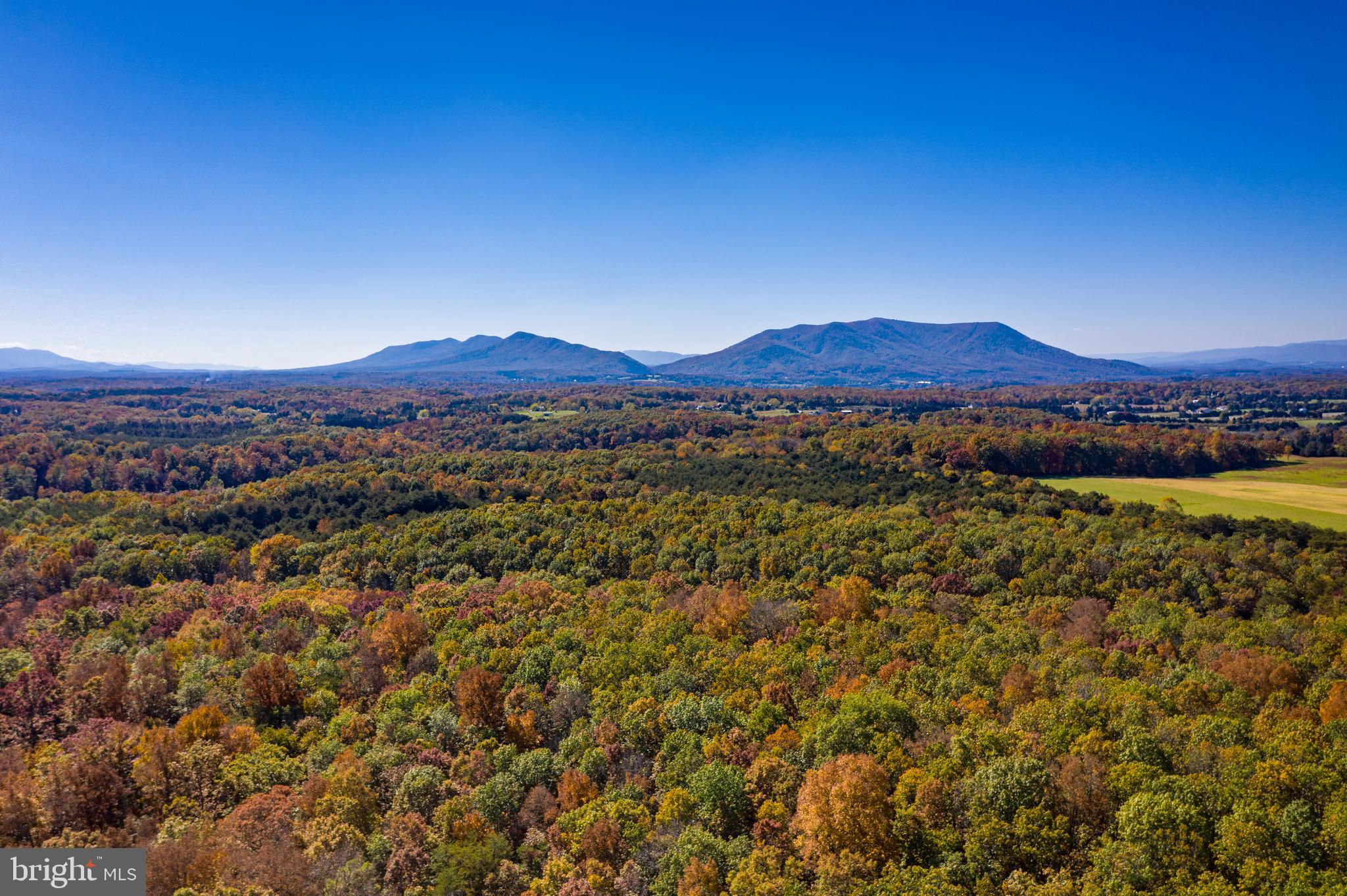 Reliance Road Middletown, VA 22645 - Photo 16 of 19