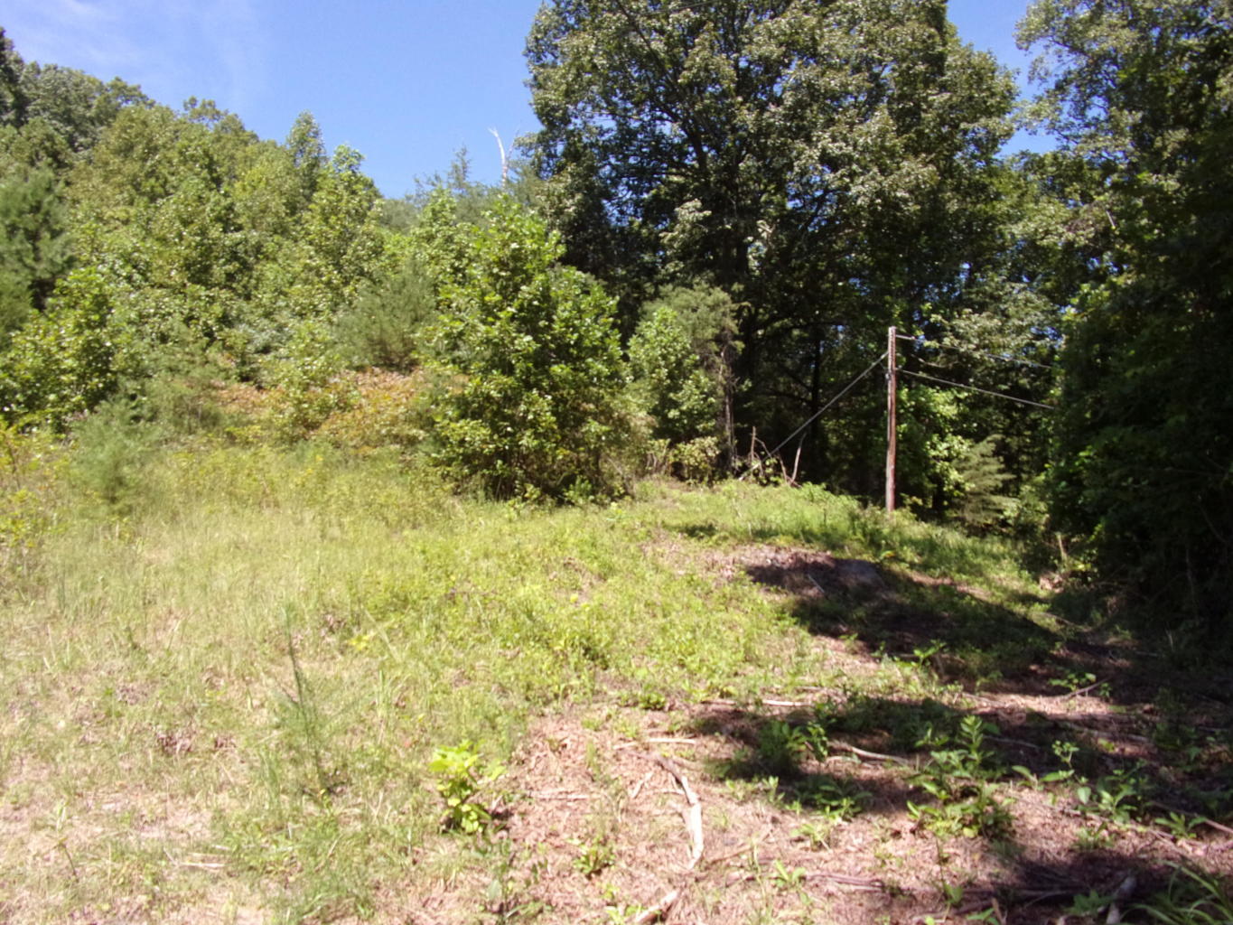 128 Bell Summers Road Pikeville, TN 37367 - Photo 12 of 36 20190830192938276738000000-o